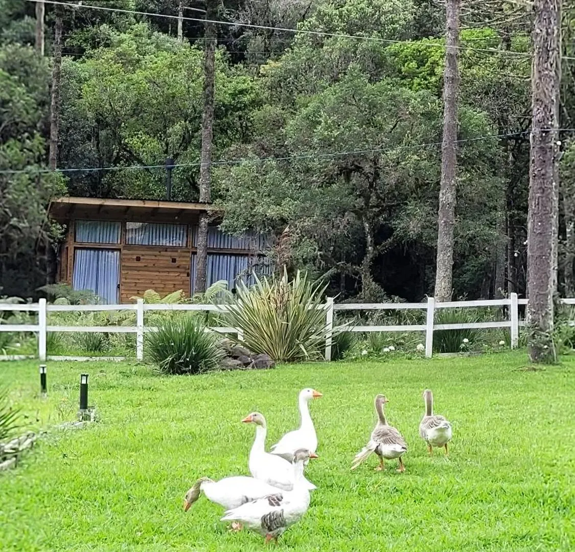 Valle Das Aguas Urubici Brasil